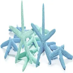 Starfish 10 Pack Green & Blue Assorted Finger Star Fish 4"-6" for Craft and Decor