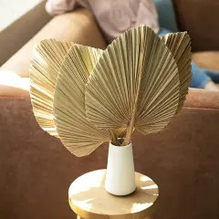 3 pcs Large Dried Palm Leaves Natural Dried Palm Spears Palm Fan Leaves Boho