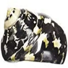 Hermit Crab Shells 2"-2.5" Turbo Shell 1 Magpie Shell