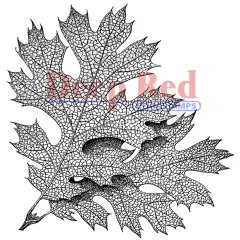 Deep Red Stamps Elm Leaves Rubber Cling Stamp 3 x 3.1 inches