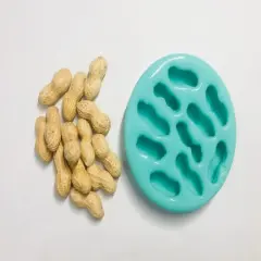 10pc Peanuts with Shell Silicone Mold| Realistic Peanuts| Food Shaped Mold| Candle| Soap | Embeds. Mold for wax| resin|Cla