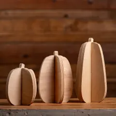 Unfinished Slotted Pumpkins Set of 3