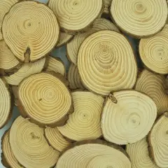 50 Bulk Wood Slices, "B" Grade