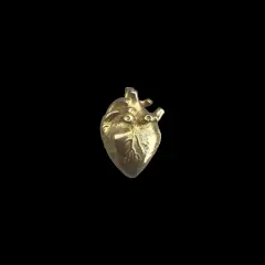 Large Anatomical Heart Pendant (K626) (1x)