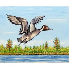 Betsy Drake Pintail Duck Outdoor Wall Hanging 24x30