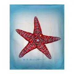 Betsy Drake Starfish Throw Multicolor