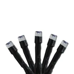Kaemingk LED 8-Function Christmas Lights - Cool White - 117 ft Black Wire - 480ct