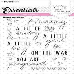 Studio Light Essentials Clear Stamp-Nr. 172, Hurray Sentiments