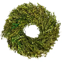 Northlight Green Foliage Artificial Spring Wreath - 15" - Unlit