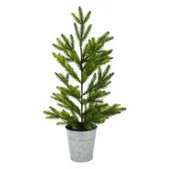 Northlight 2' Potted Pine Medium Artificial Christmas Tree &ndash; Unlit Green