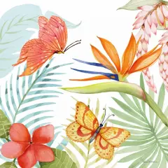 Treasures of the Tropics IV Poster Print by Kathleen Parr McKenna - Item # VARPDX34247HR