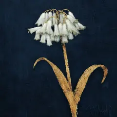 Shimmering Summer II Indigo Crop Poster Print by James Wiens # 52070