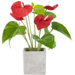 Northlight Anthurium Spring Floral Artificial Plant in a Square Pot - 12" - Red