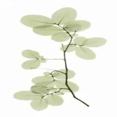 Myrtle Tree Poster Print byACEE - Item # VARPDXACP202