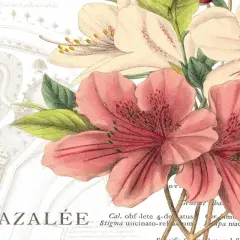 Azalee Jardin I Poster Print by Wild Apple Portfolio - Item # VARPDX1212