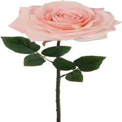 12-Pack: Open Rose Stem with Lifelike Silk Foliage, Floral Home by Artificial Flowers Light pink