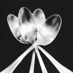 Spoons Poster Print by Mike Feeley - Item # VARPDX6503