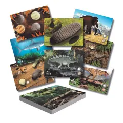Prehistoric Teeth &ndash; Explore and Discover Activity Cards, Set of 16