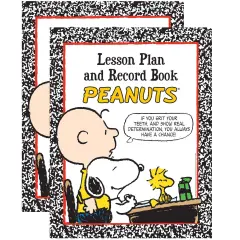 Peanuts&reg; Lesson Plan & Record Book, Pack of 2