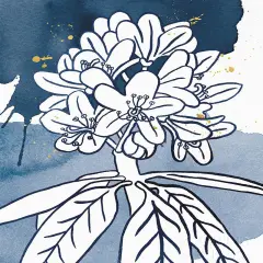 Indigo Blooms II Poster Print by Wild Apple Portfolio Wild Apple Portfolio # 63542