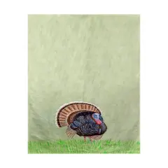 Betsy Drake Wild Turkey Beach Towel