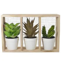 Northlight 10.75" Artificial Mixed Potted Succulents in Wooden Box Brown