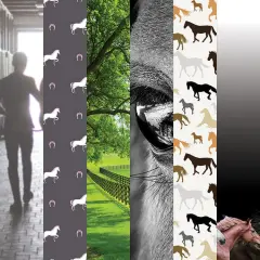 Horse 12 x 12 Scrapbook Paper Set