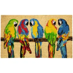 Northlight Natural Coir Parrots Outdoor Doormat 18" x 30" Multi