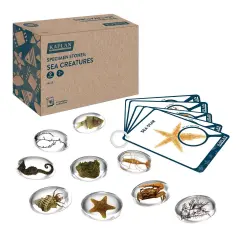 Kaplan Early Learning Company Specimen Stones: Sea Creatures - 9 Pieces