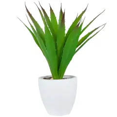 Northlight Potted Artificial Agave Succulent Plant - 13.5" Green