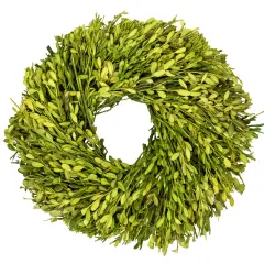 Northlight Green Foliage Artificial Spring Wreath - 11" - Unlit