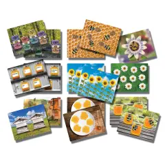 Yellow Door Honey Bee Activity Cards