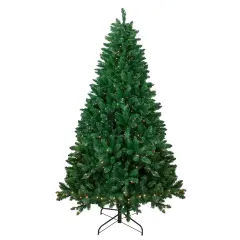 Northlight 7.5' Pre-Lit Full Twin Lakes Fir Artificial Christmas Tree - Warm White LED Lights Green