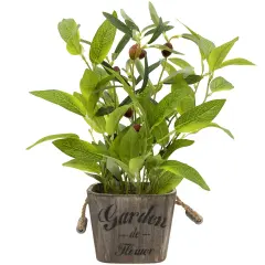 Northlight Artificial Olive Plant in Rustic Pot with Handles - 14" Green
