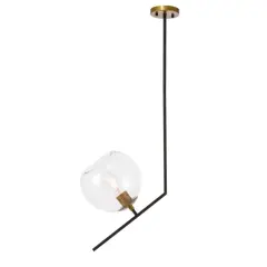 Ryland 1 light Black and Brass and Clear glass pendant