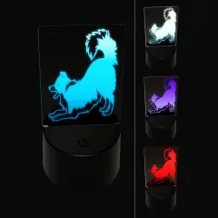 Border Collie Dog Play Bow 3D Illusion LED Night Light Sign Nightstand Desk Lamp