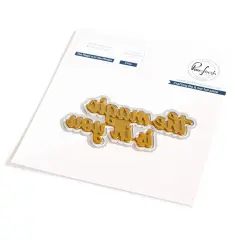 Pinkfresh Studio Hot Foil Plate & Die Set-The Magic Is In You