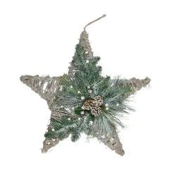 Northlight Frosted Mixed Pine Hanging Star Christmas Ornament - 24" - Green, Gray and Brown