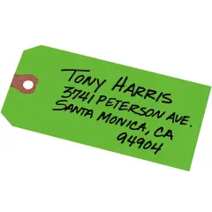 Avery Unstrung Shipping Tags, 11.5 pt. Stock, 4-3/4" x 2-3/8", 1,000 Green Hang Tags (12365)