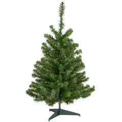 Northlight 3' Pre-Lit Medium Canadian Pine Artificial Christmas Tree, Multicolor Lights Green