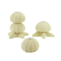 Gallerie II Set of 3 Beach Inspired Cream Star Fish Seashell Taper Candle Holders White