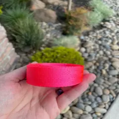 Neon Pink 1&rdquo; Seatbelt Webbing (by the yard)