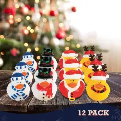 Fun Express Vinyl Holiday Rubber Duckies