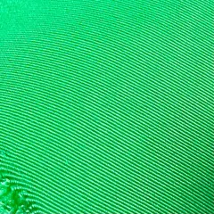 Kelly Green Lux Nylon