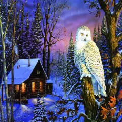 Sunsout Night Watch 1000 pc Jigsaw Puzzle 71230