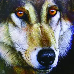 Sunsout Wolf Face 1000 pc Jigsaw Puzzle 58644