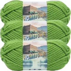(Pack of 3) Lion Brand Hometown Yarn-Oklahoma City Green