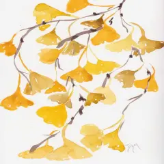 Golden Gingko A Poster Print by Beverly Dyer # BDRC149A