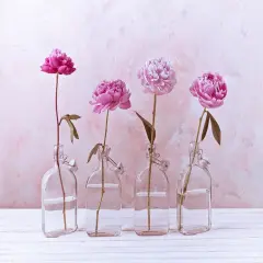 Peonies in glass bottles Poster Print by Assaf Frank # AF20160707260C01