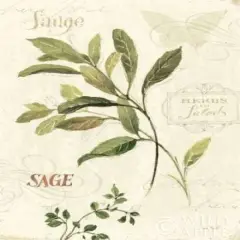 Aromantique IV Poster Print by Lisa Audit - Item # VARPDX5312